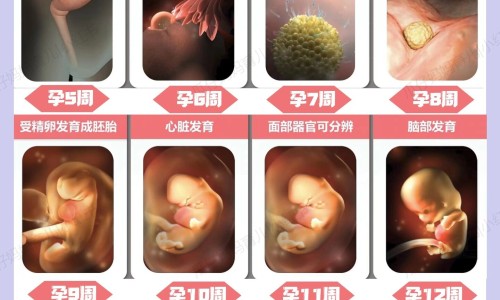 植物灯的红蓝色有什么功效网 - 为你提供植物灯和正常灯有什么区别、植物灯是什么灯