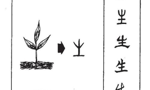 植物灯和正常灯有什么区别-植物灯的红蓝色有什么功效网 - 为你提供植物灯和正常灯有什么区别、植物灯是什么灯